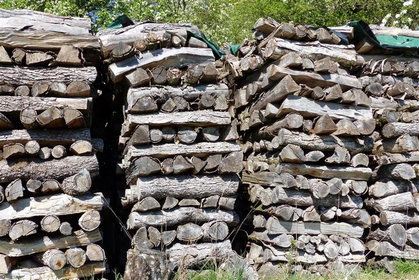 pile de bois