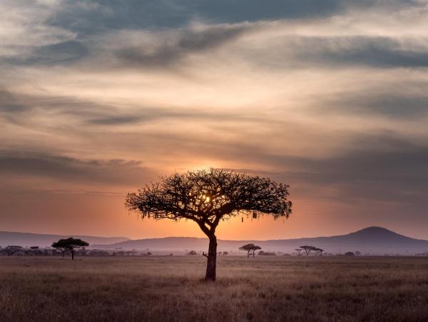 paysage d'Afrique